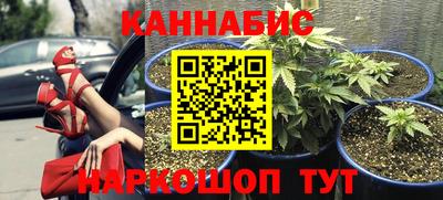 крисы Кимры