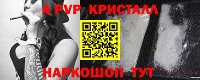 таблы Кингисепп