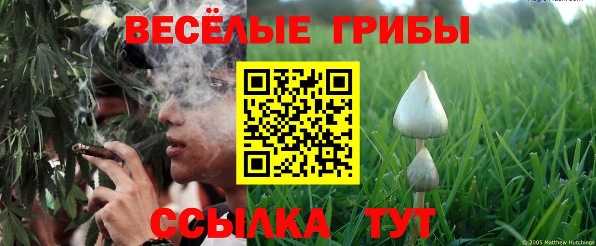 Красный Сулин  наркошоп  Вход с VPN  Галлюциногенные грибы мицелий 